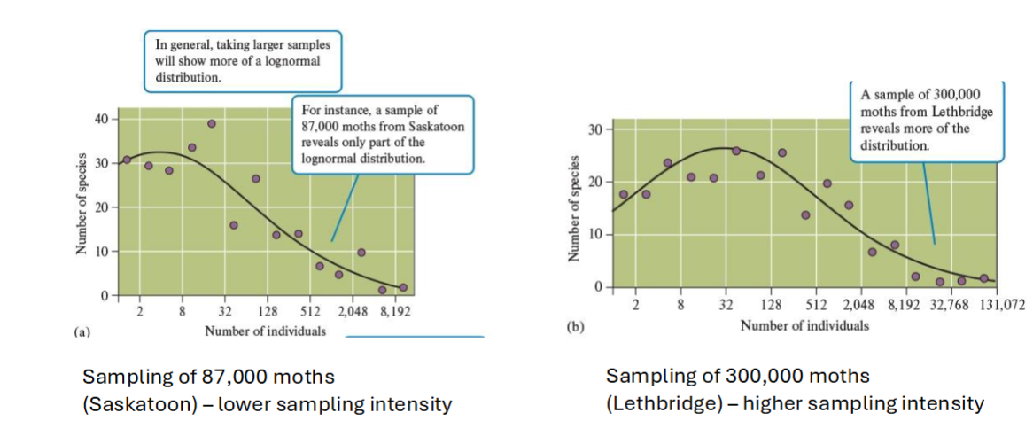 <p>NO</p><ul><li><p>Depends on HOW MUCH YOU SAMPLE</p></li></ul><p></p><p><strong>Rare species are often overlooked</strong> → the <u>more you sample</u> the more likely you will find the rare species + the closer the abundance distribution will match the bell curve</p><p></p>
