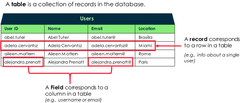 <p><strong>Tables</strong> contain <strong>Records</strong> contain <strong>Fields</strong></p>