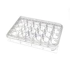 <p>24 Well Plate</p>