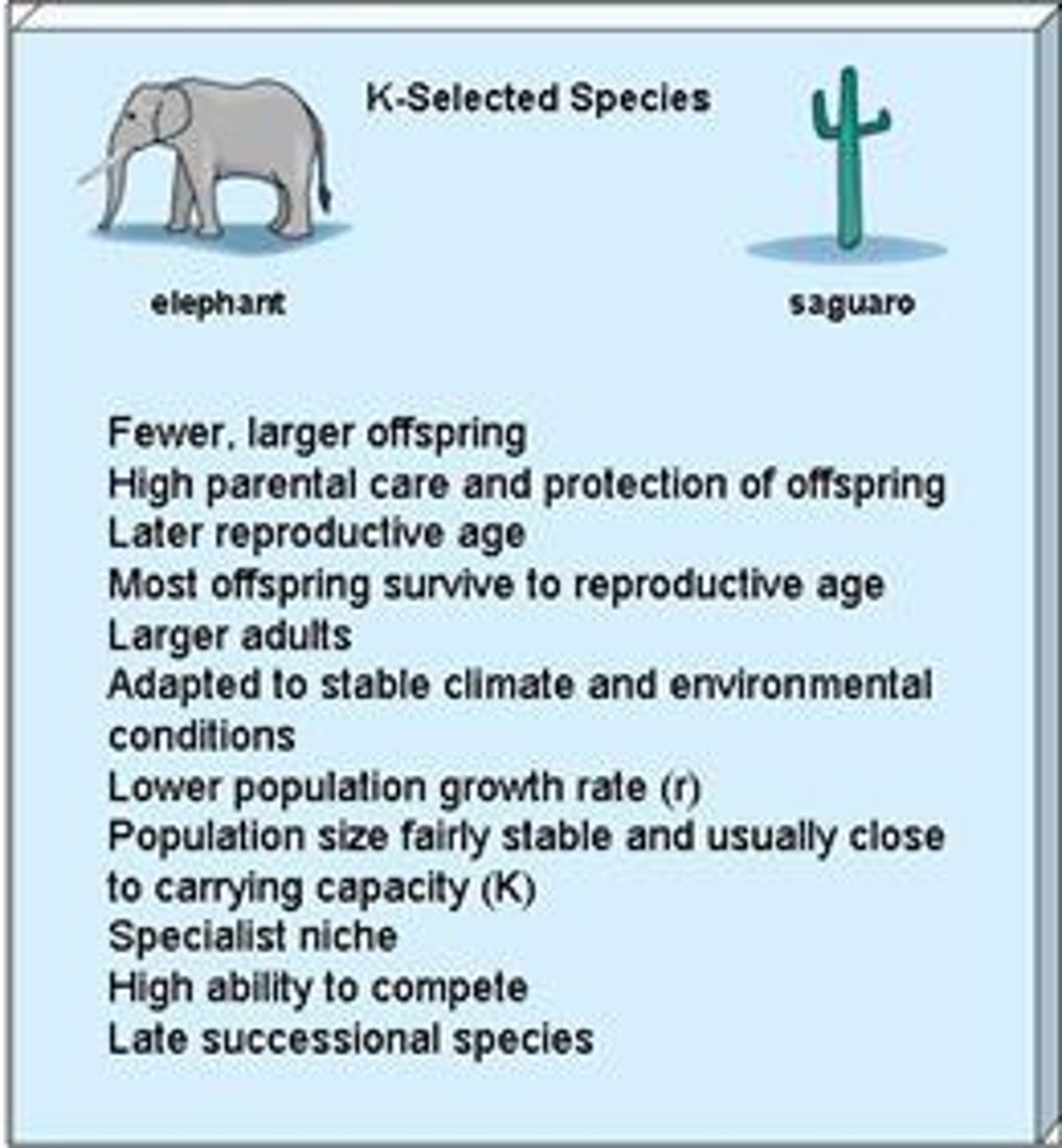 <p>-population size fluctuates within narrow range</p><p>around carrying capacity (K)</p><p>-Reproductive rates (r) are lower, and often there is</p><p>parental investment in offspring</p><p>-stable environment</p>