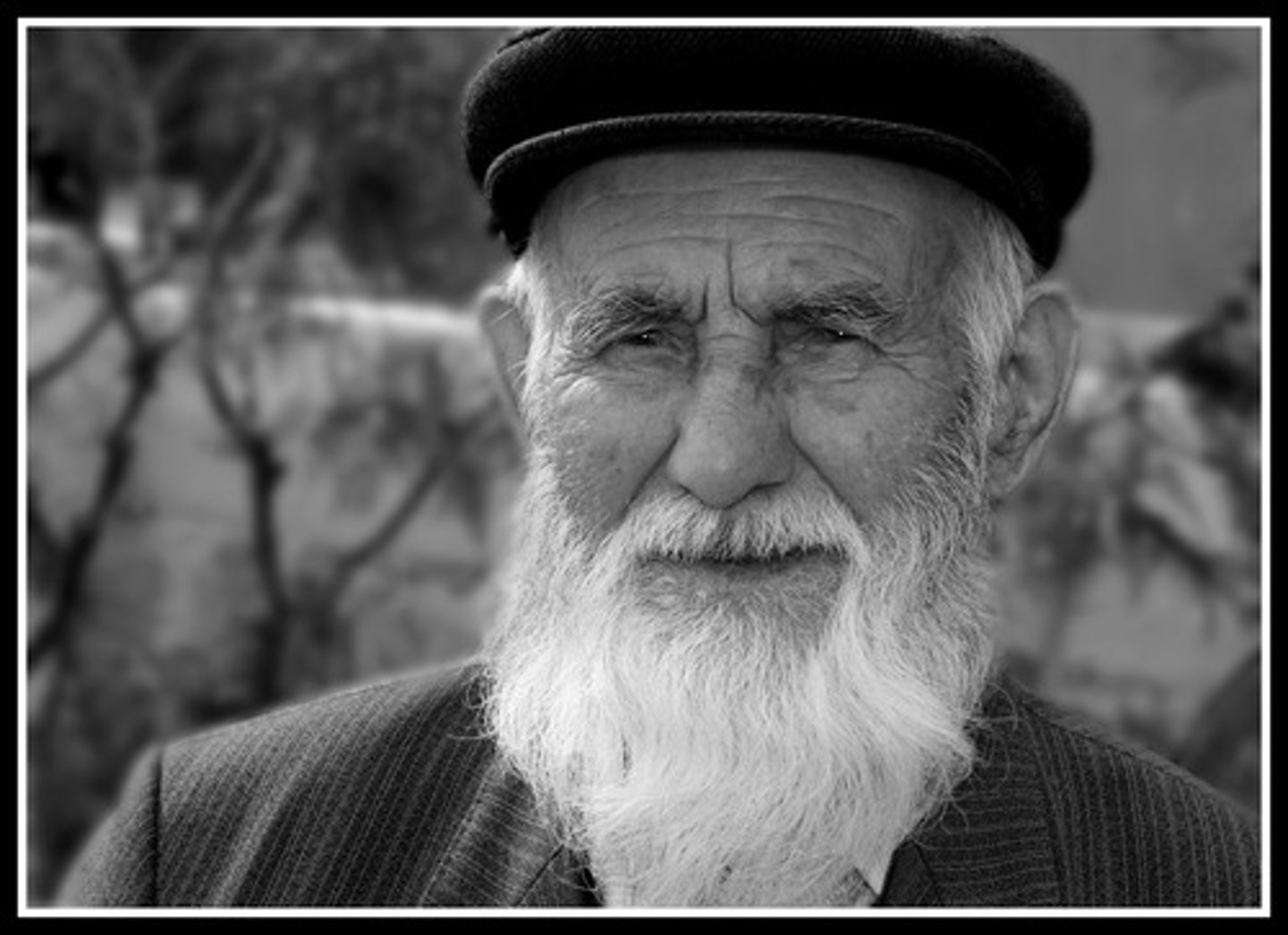 <p>мой дедушка, мои дедушки</p>