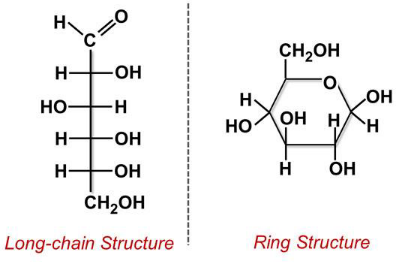 <p class="MsoNormal">Monosaccharide</p>