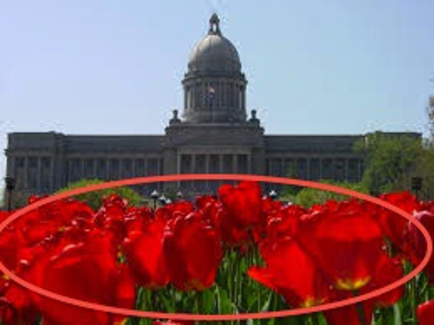 <p>in the foreground</p>