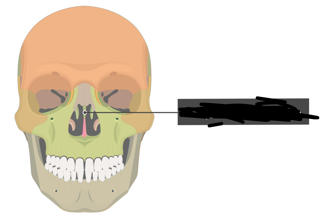 <p>bony marking?</p>