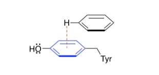 <p>What is this noncovalent interaction called?</p>