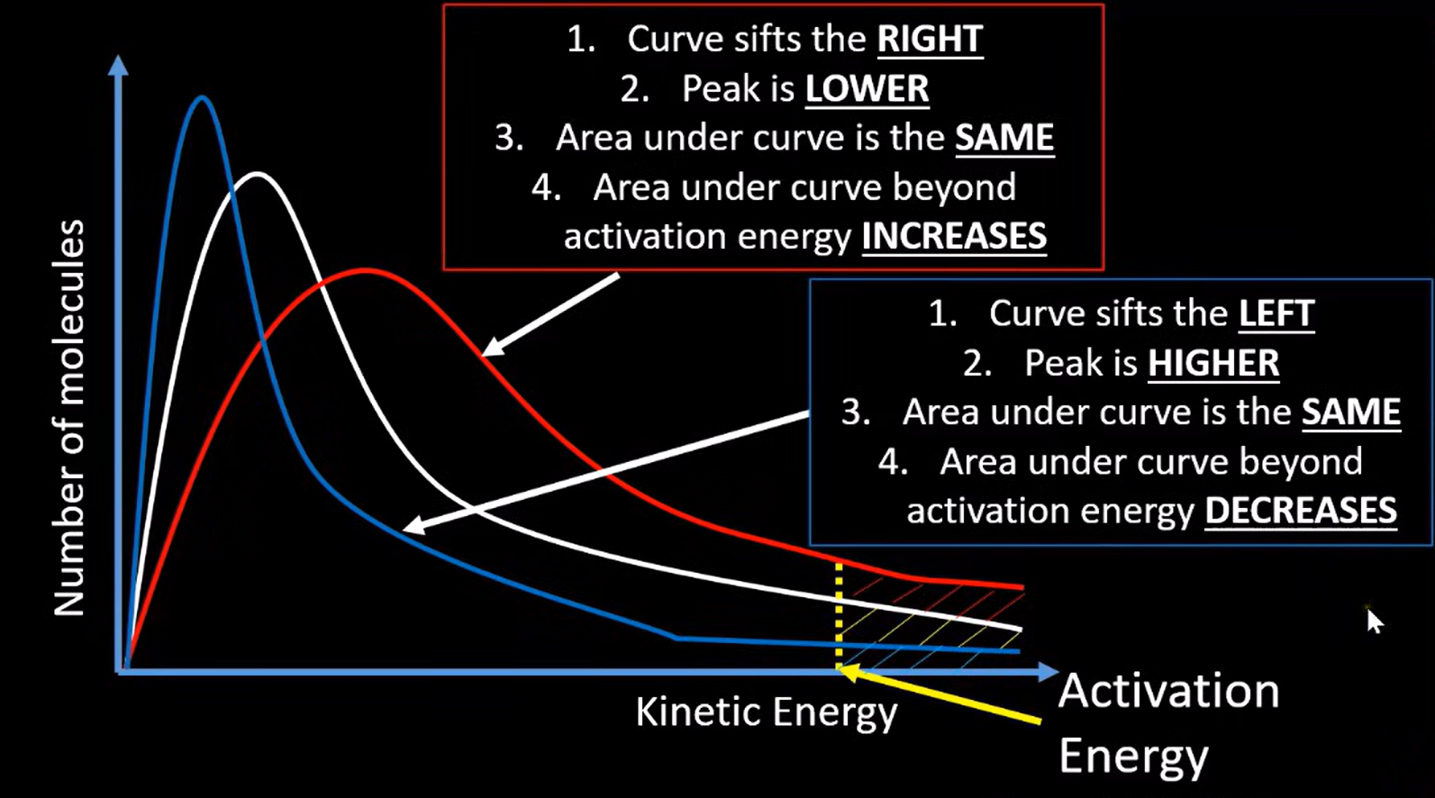 <p><strong><u>Red line (increase in temperature):</u></strong></p><ul><li><p>a larger proportion of molecules will have energy greater than the activation energy → larger area under the curve beyond the activation energy</p></li></ul><p><strong><u>Blue line (decrease in temperature):</u></strong></p><ul><li><p>a smaller proportion of molecules will have energy greater than the activation energy → smaller area under the curve beyond the activation energy </p></li></ul><p></p>