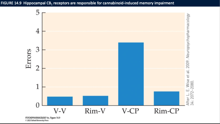 <ul><li><p>CB1 activation in <strong>hippocampus (CA1)</strong> → <strong>↓ LTP</strong> → <strong>memory impairment</strong></p></li><li><p><strong>Fig. 14.9:</strong> <strong>Vehicle→CP</strong> group = <strong>high errors</strong>; <strong>Rimonabant→CP</strong> = <strong>errors normalized</strong></p></li><li><p>Conclusion: <strong>CB1 is required</strong> for the memory deficit (rimonabant <strong>blocks</strong> it)</p></li></ul><p></p>