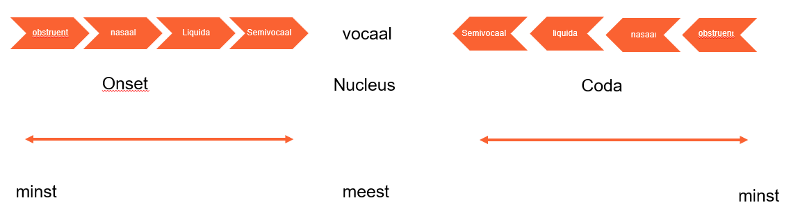 <p>bepaalt de onderlinge volgorde van consonanten in de syllabe: rangschikking consonanten in syllabe</p><p>klinker is het meest sonoor, draagt meest akoestische energie => grootst in nucleus, bestaat sowieso uit een klinker</p><p>ook andere kenmerken zijn + sonorant</p><ul><li><p>klinker meest sonoor</p></li><li><p>semi-vocaal: sonorant</p></li><li><p>liquidea en nasalen: sonorant</p></li></ul><p>niet sonorant: obstruenten</p><p>VB krpa komt niet voor in Nederlands→ tegen sonoriteitshiërarchie</p><ul><li><p>p: obstruent</p></li><li><p>r: ratelaar, liquidea (vloeiende klank)</p></li><li><p>k: obstruent</p></li></ul><p></p>