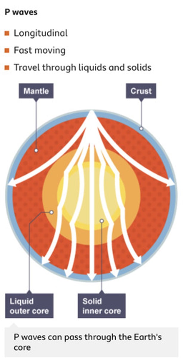 <p>Travel in curved paths, through the Earth's mantle and core, refracting (bending) as they change speed between different density layers.</p>