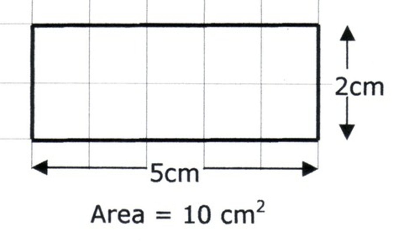 <p>Area/permukaan</p>