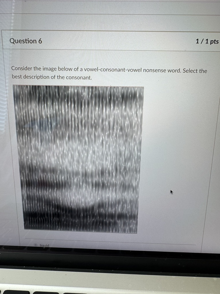 <p>Consider the image below of a vowel-consonant-vowel nonsense word. Select the best description of the consonant </p>