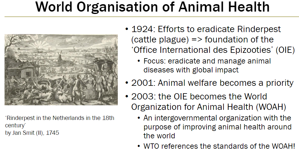 <p><strong>History</strong><br> 1924: Efforts to eradicate Rinderpest (cattle plague) led to creation of <em>Office International des Epizooties</em> (OIE)<br> 2001: Animal welfare added as priority<br> 2003: OIE renamed World Organization for Animal Health (WOAH)</p><p><strong>Purpose</strong><br> Eradicate and manage animal diseases with global impact<br> Improve animal health worldwide<br> Standards referenced by the World Trade Organization (WTO)</p>