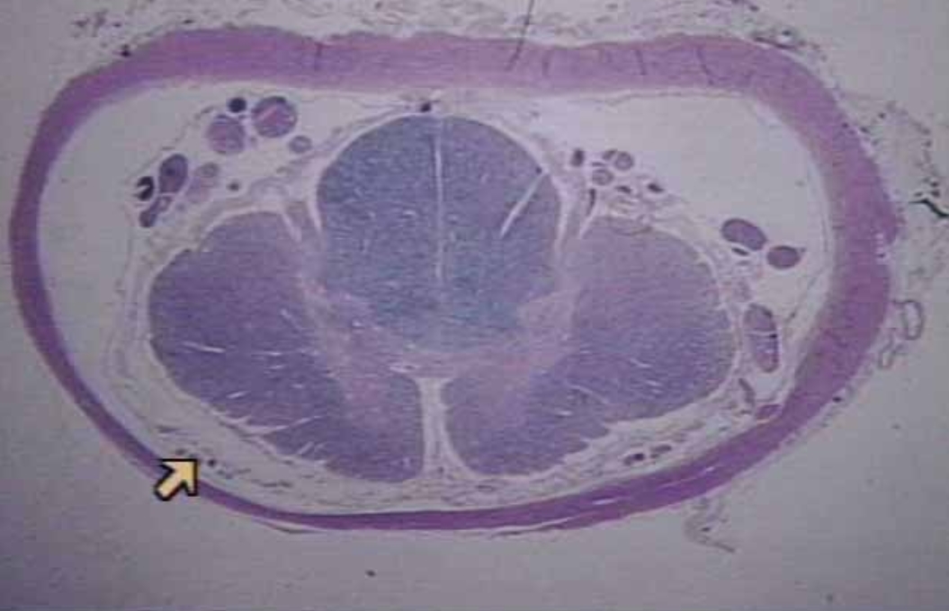 <p>What is the arrow pointing at?</p>