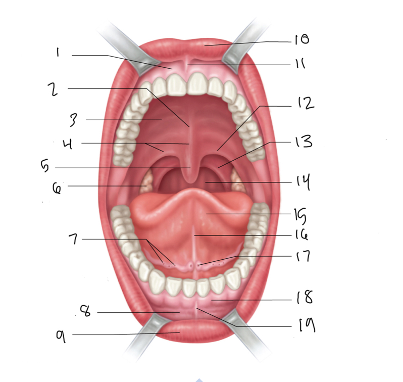 <p>8</p>