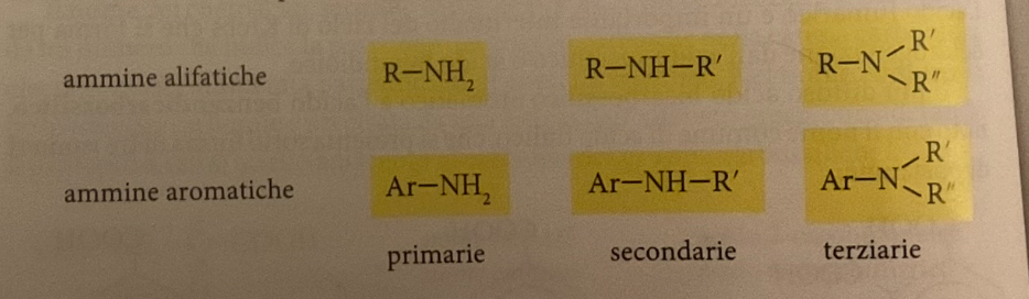<p><span>Le ammine sono classificate in primarie, secondarie e terziarie, se all'atomo di azoto sono legati rispettivamente due atomi di idrogeno, un atomo di idrogeno e un gruppo alchilico, oppure due gruppi alchilici.</span></p>