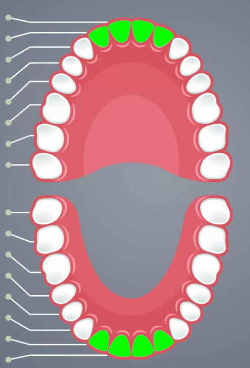 knowt flashcard image