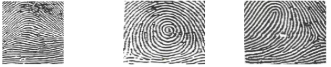 <p>Which one is a loop?</p>