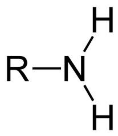 <p>-NH2 (Class)</p>