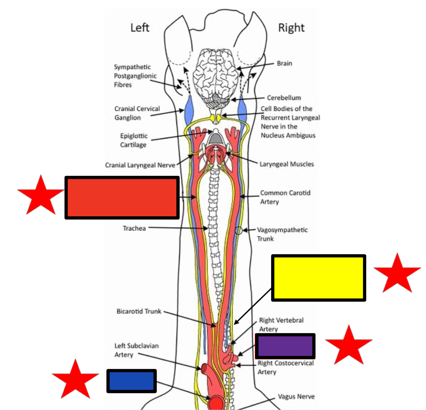 <p>What does the yellow box refer to?</p>