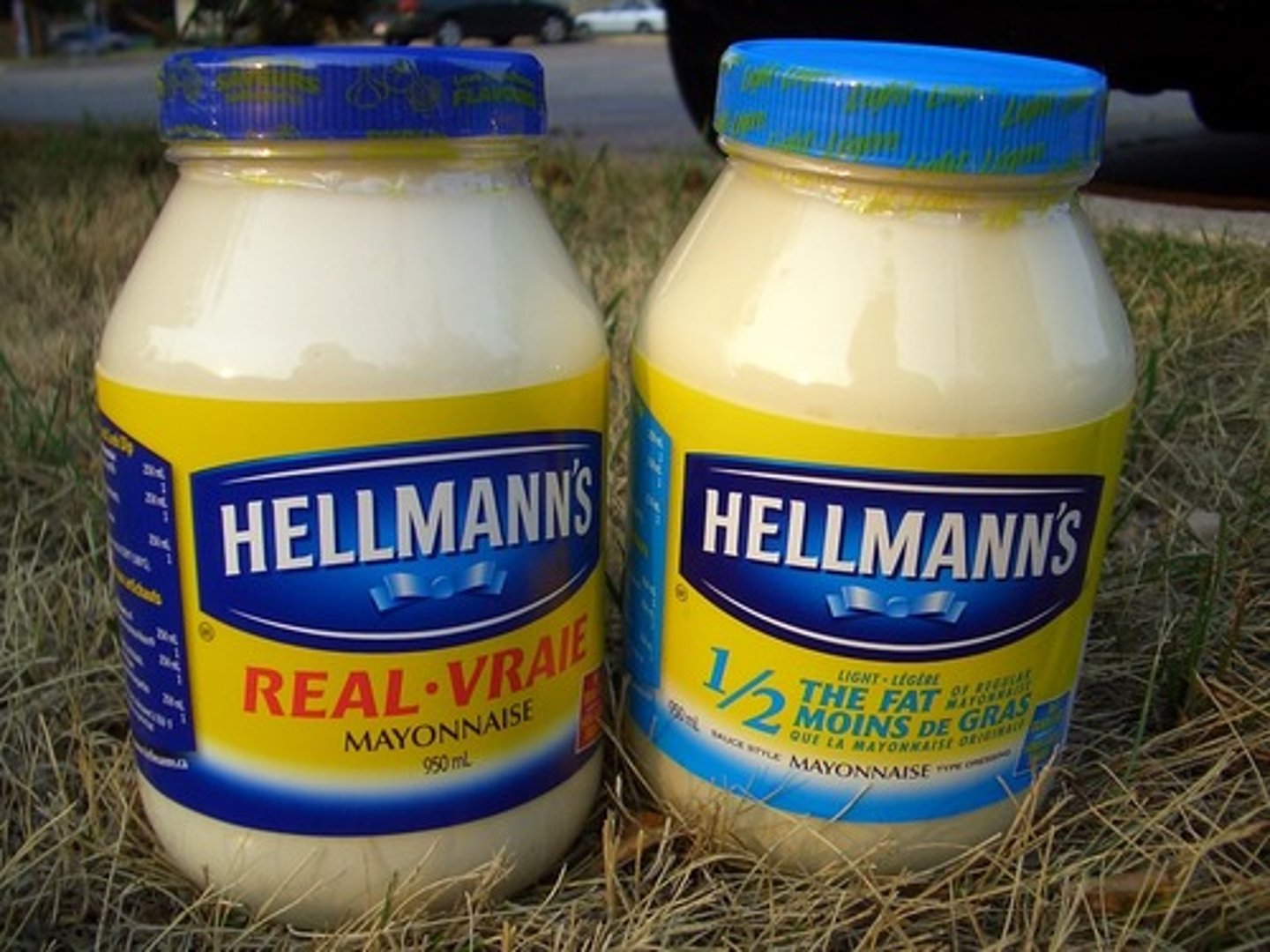 <p>mayonnaise (mayo)</p>