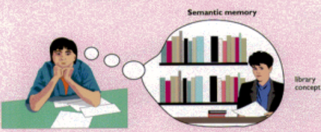<p>Textbook: N/A<br>Mine: Declarative memory and long-term storage of facts</p><p>Retrieval Cues:<br>-Findings facts in your mind to refute your debate opponent</p>