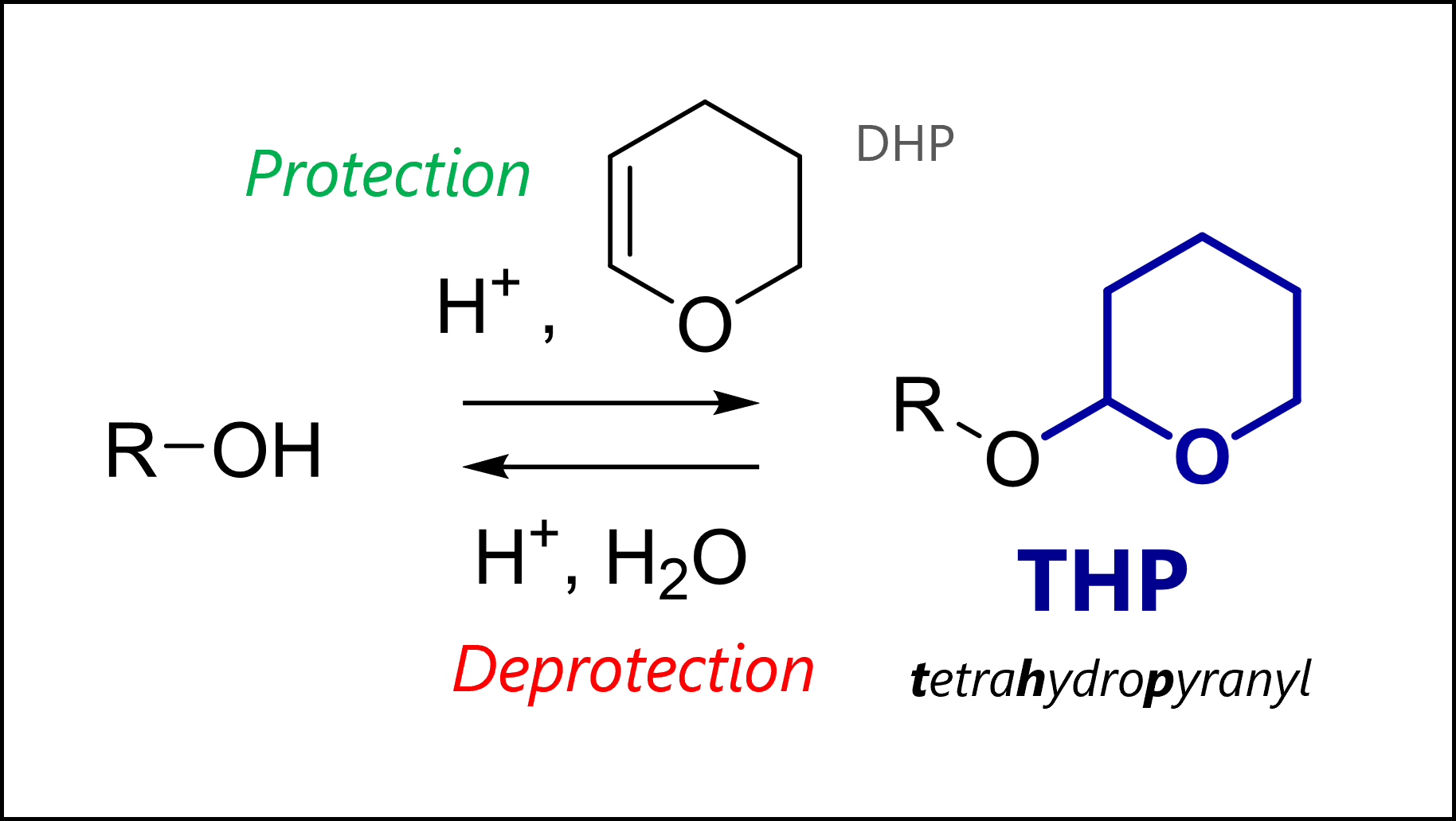 <p>protects alcohol in esters to make acetals</p><p>acetal protection</p>