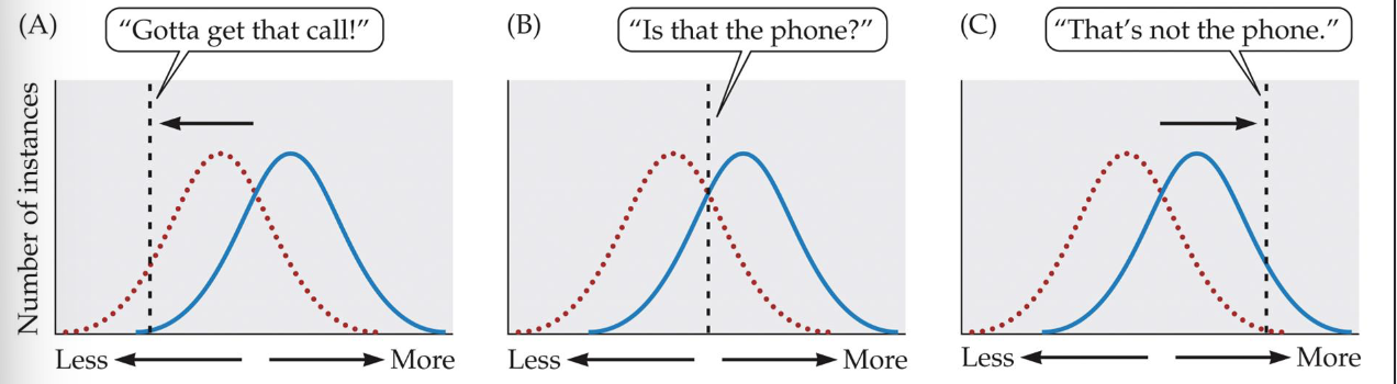 <p>The decision threshold</p><p>Can be shifted be the subject</p>