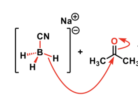 <p>No, as the two electrons are confined to the metal hydride bond </p><p>SO: DRAW MECH with electrons coming from the bond</p>