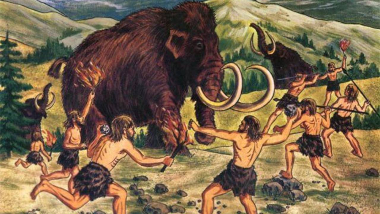 Hunters and gatherers 