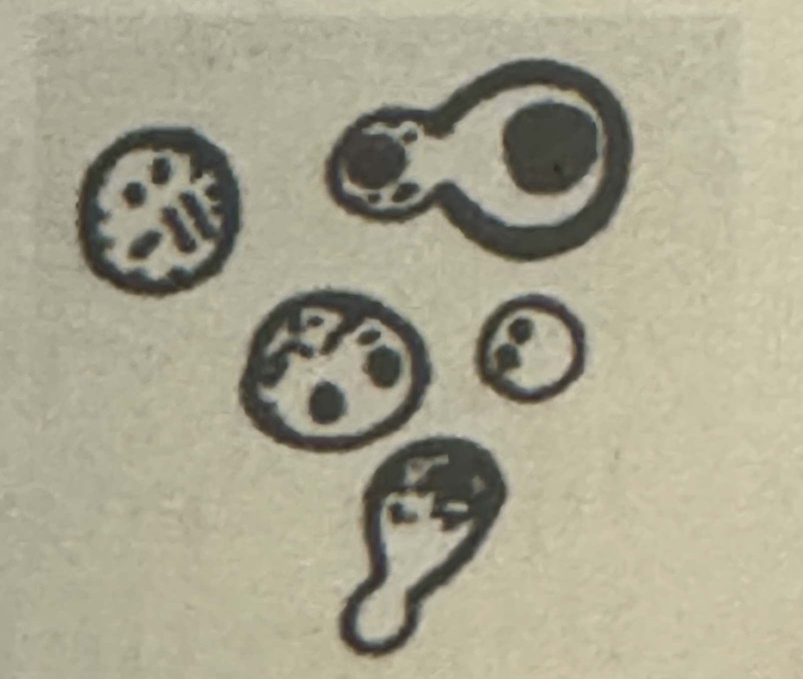<p><span>what is illustrated</span></p>