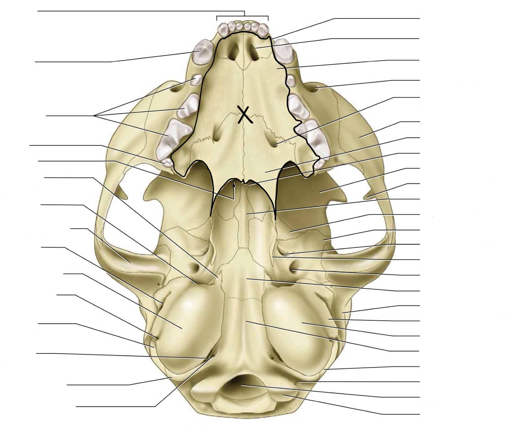 <p>What is this region?</p>