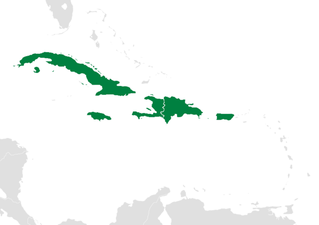 <p>a group of larger islands</p>