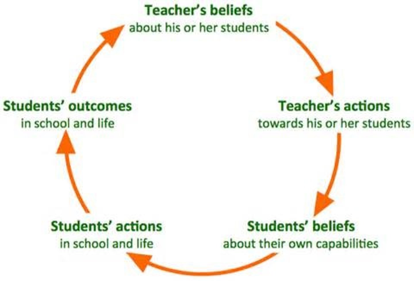 <p>A belief or expectation about a future outcome that, due to the person's actions influenced by that belief, actually comes true, essentially causing the predicted behavior to manifest simply because the individual believes it will happen</p>