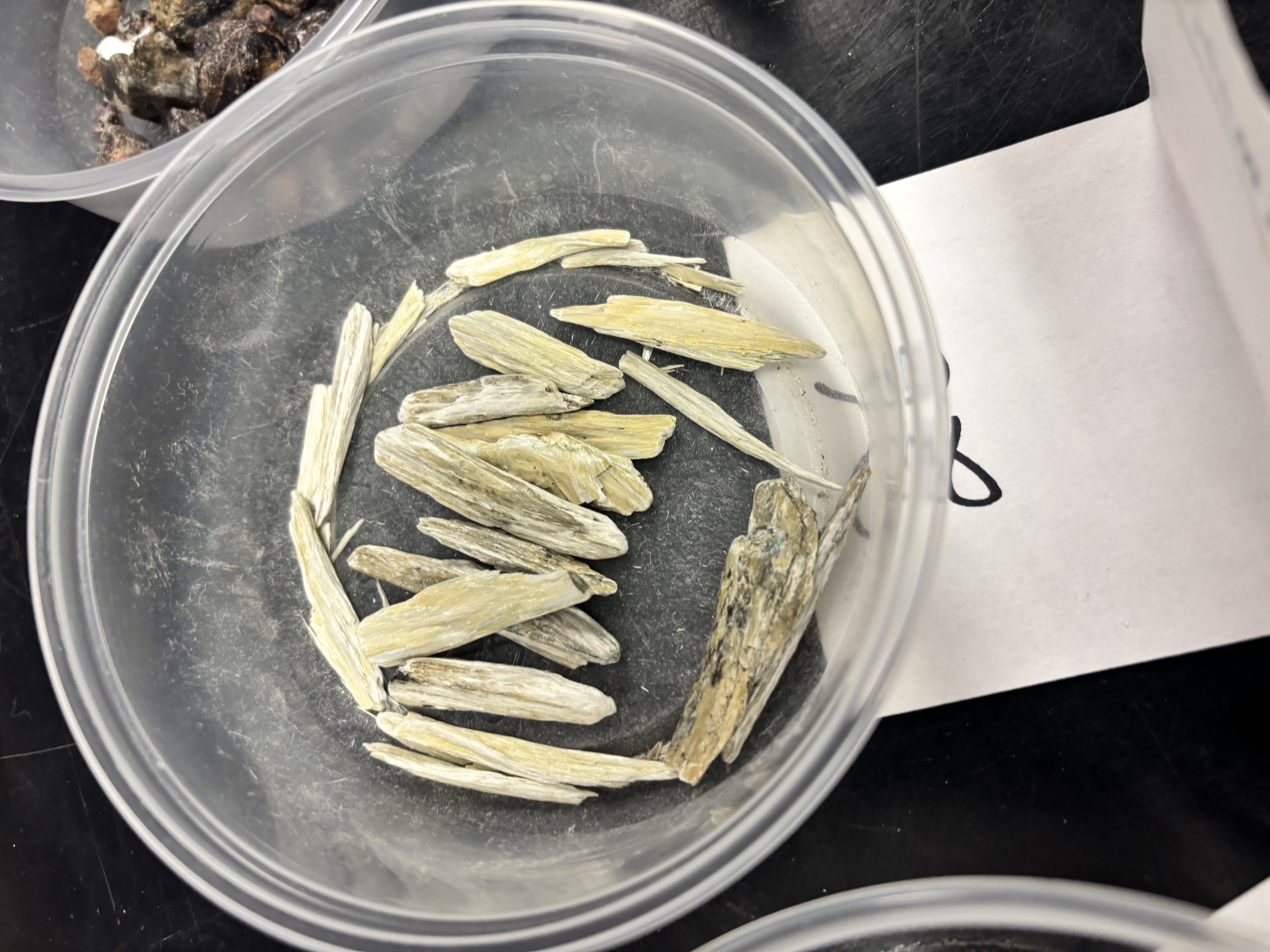 <p>Needle-like mineral; forms under high-temperature metamorphism; polymorph with kyanite and andalusite.</p>