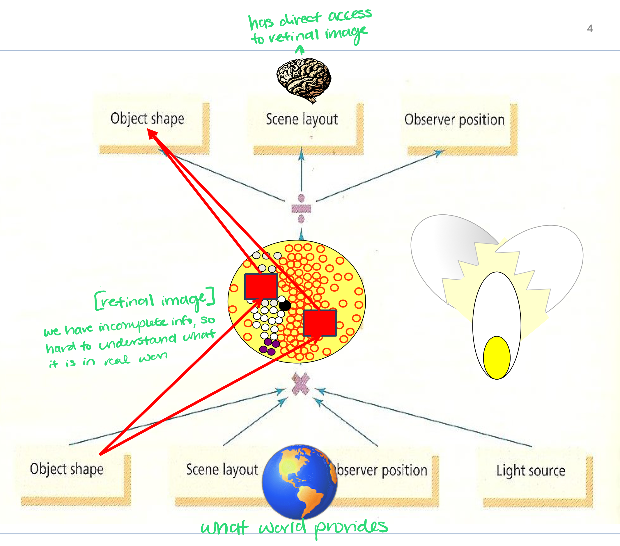 <p>stimulus generates a retinal image, which has to be matched to real object’s stored representation in cortex (assuming incoming info. is incomplete/incorrect and brain has to interpret from that)</p><p>analogy → “unscrambling scrambled eggs” → brain has to unscramble the scrambled retinal image</p>