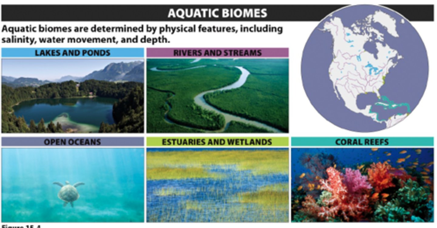 <p>An aquatic region characterized by a particular combination of biotic and abioitic factors.</p>