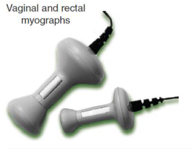 <p>Vaginal and rectal myographs</p>