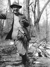 <p>ecological succession</p>