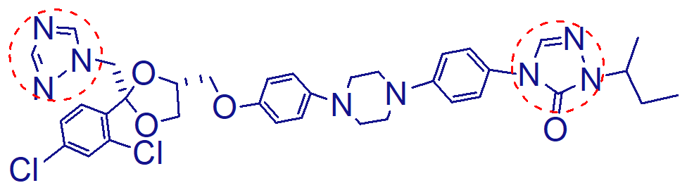 <p>important points of this molecule (itraconazole);</p>