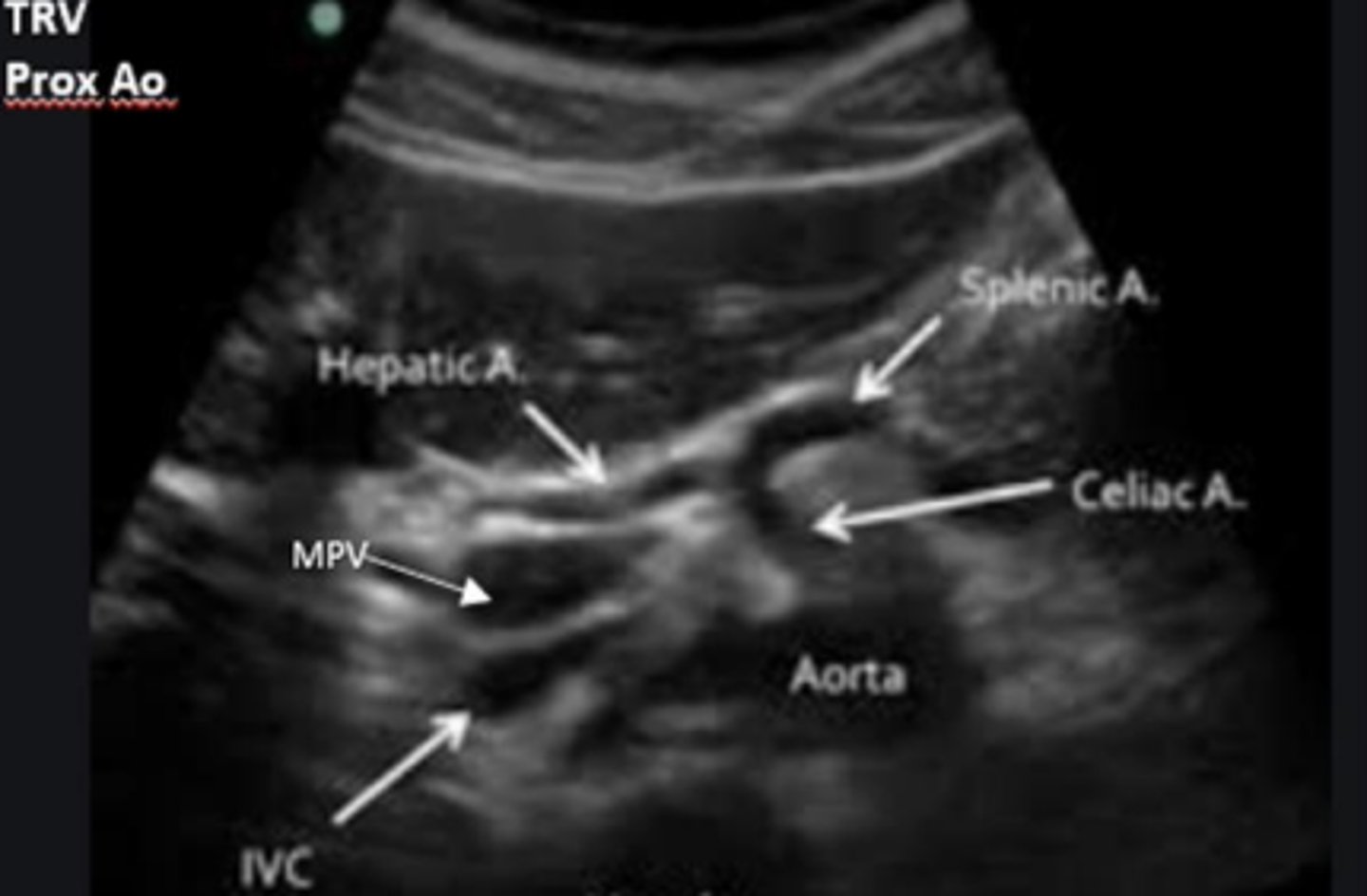 <p>What can we observe in this image?</p>