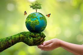 <p><strong>Environment</strong></p>