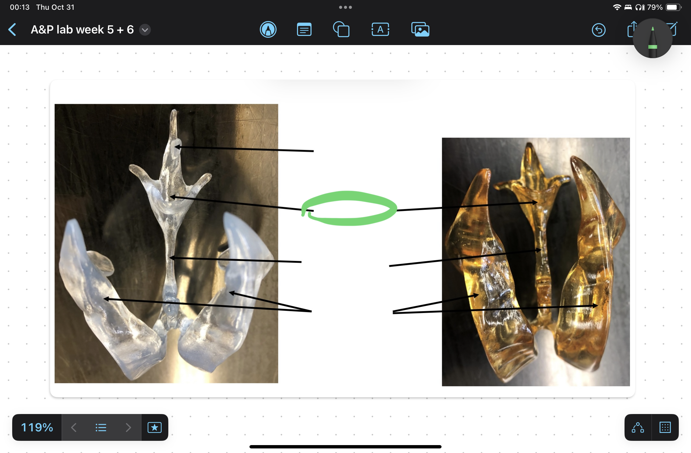 knowt flashcard image