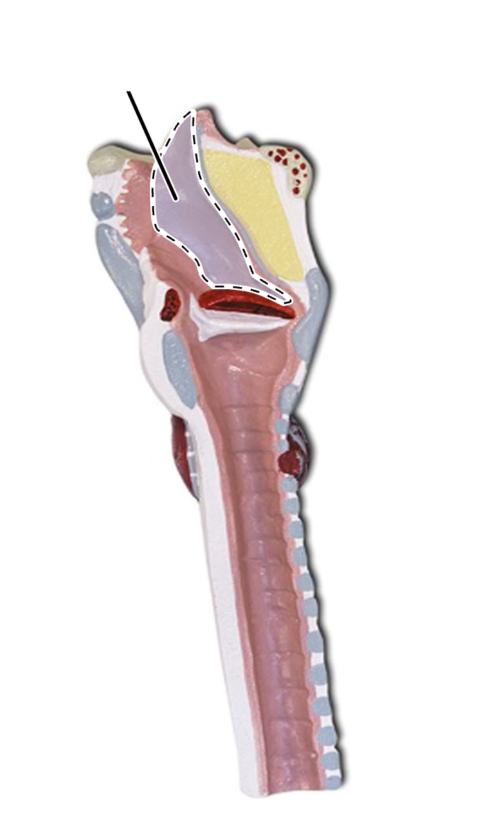 <p>What is this?</p>