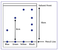 <p>By looking at the chromatogram, why does the yellow ink move further up the paper?</p>