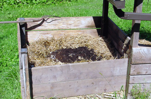 <p>(v. &amp; n.) <em>to break down organic waste material to put around plants to make them grow better</em></p><p>“If you _______ grass, dead leaves, and kitchen waste, and put it in your vegetable garden, your vegetables will grow better.”</p>