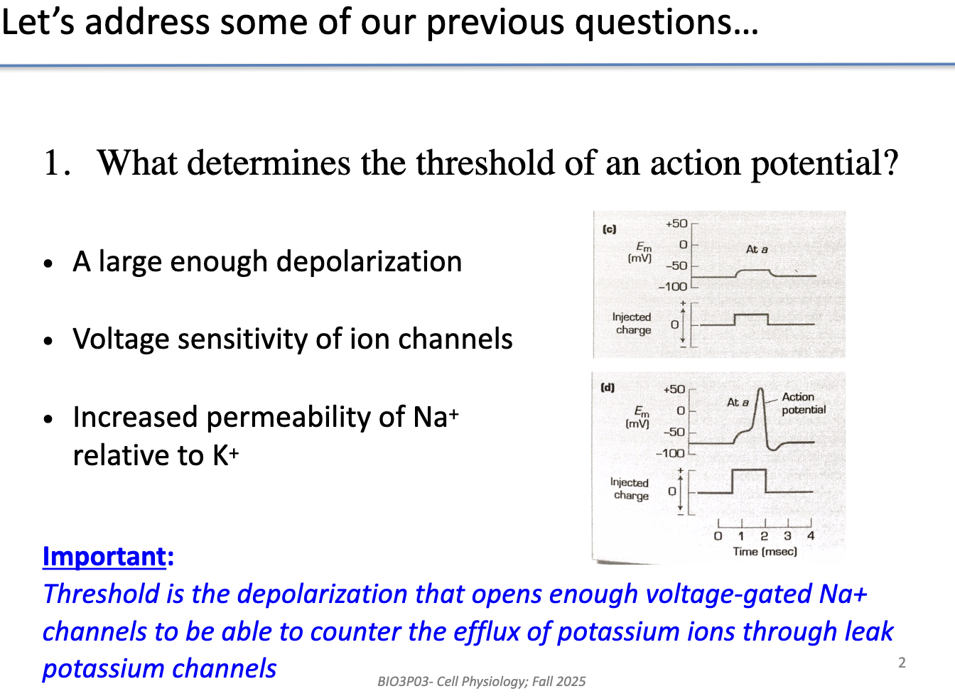 <ul><li><p>Requires a <strong>large enough depolarization</strong> (ex: -40 mV).</p></li><li><p>Depends on <strong>voltage sensitivity</strong> of ion channels</p></li><li><p>Occurs when <strong>Na+ permeability &gt; K+ permeability</strong></p></li><li><p>Threshold = point where enough <strong>voltage-gated Na+ channels open</strong> to <strong>counter K+ efflux</strong> through leak channels</p></li></ul><p></p>