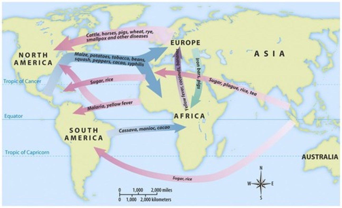 <p>a. A transfer of goods, materials, and diseases<br>b. New World<br>c. When Columbus' men arrived in the New World, he found material rich land and a large Native population, which became ravaged by European diseases such as smallpox. Europeans contracted Native disease as well which were brought back to Europe. This exchange of goods, materials, and disease was between the Old World and the New World.</p>