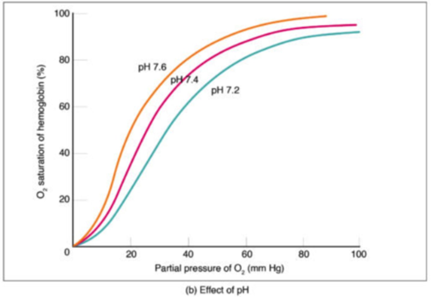 <p>left shift <br><br>(Note: increased pH <br>means less acidity in <br>tissues = less respiration <br>taking place = <br>less oxygen requirements)</p>