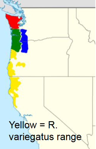 <p>Who’s range map?</p>