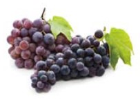 <p>grape</p>